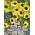 Sperli Sonnenblume Soluna Lemon,