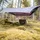 AMAZONAS Traveller Camp Forest 275 x 140 cm Braun
