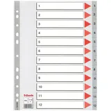 Esselte Register für A4, Deckblatt aus Karton und 12 Trennblätter aus Kunststoff, Taben mit Zahlenaufdruck 1-12, Überbreite, Grau,