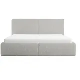 FEDVE Polsterbett Doppelbett Riberia Slim Bett Bettkasten 120/140/160/180/200x200 - 2 Jahre Gewährleistung - mind. 14 Tage Rückgaberecht - Grau