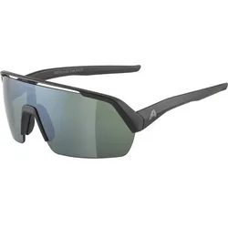 ALPINA Herren Brille TURBO HR Q-LITE, black matt, ONE SIZE
