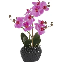 Leonique Kunstpflanze »Orchidee«, Kunstorchidee, im Topf, Bestseller, über 2500 4,5-Sterne-Bewertungen Leonique lila/schwarz