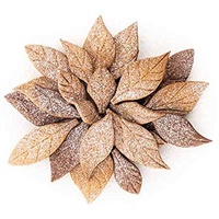 Silikomart Voila Cookie, Leaves Backform