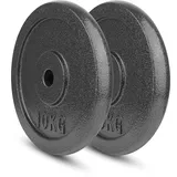 wuuhoo® Hantelscheiben Manuel 27mm Bohrung, Langhantelgewichte 2er Set, Gewichte für 1" Zoll Hantelstangen, Hantelscheibe beschichtet in Grau aus Gusseisen - Fitnessgerät für Zuhause 2x10 kg