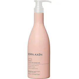 Björn Axén Anti-Frizz Shampoo 750 ml