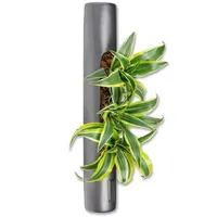 Flowerbox Tube - anthrazit - 40x6,5 cm