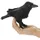 Folkmanis Fingerpuppe Rabe (2698)