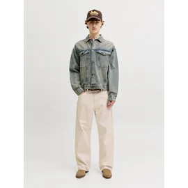 JACK & JONES TED Straight Fit Ecru 36/32