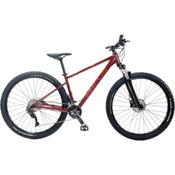 Fahrrad MTB Focus Whistler 3.7 - Bordeaux bordeaux M