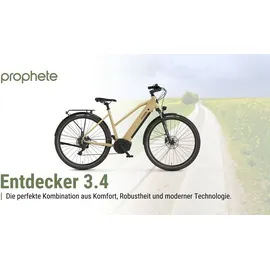 Prophete Entdecker 3.4 28 Zoll RH 50 cm Beige