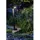 HEISSNER SMART LIGHT Teichufer-Poolrand Lampe 4 Watt warmweiss