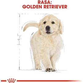 Royal Canin Golden Retriever Junior 2 x 12 kg