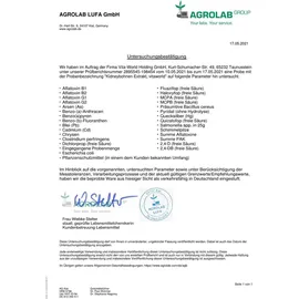 Vita World GmbH Phaseolin Kidney-Bohnen