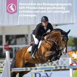 Primeval Gelatinaat für Pferde - fördert Muskelkondition und den Erhalt kräftiger Knochen - 5 kg