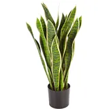 Künstlicher Bogenhanf - Liam | 80 cm