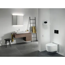 Geberit AquaClean Mera Comfort (146210211)