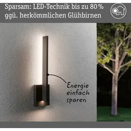 Paulmann LED Außenwandleuchte Levka IP44