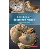 Quelle + Meyer Fossilien an deutschen Küsten Finden und Bestimmen