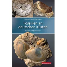 Quelle + Meyer Fossilien an deutschen Küsten Finden und Bestimmen