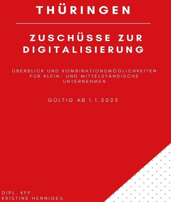 Thüringen - Zuschüsse Zur Digitalisierung - Kristine Henniges  Kartoniert (TB)