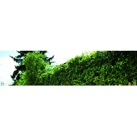 Worx WG186E.9 ohne Akku