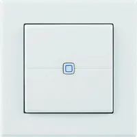Homematic IP Wandtaster 2-fach