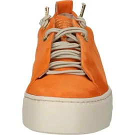 Paul Green 5017 orange 37,5