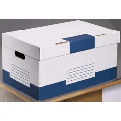 Cartonia Archivcontainer für individuelle Aufbewahrung 54,8 x 36,4 x 26,8 cm