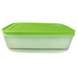 Tupperware Gefrier-Behälter 1,0 L weiß grün flach Eis-Kristall G36 Eiskristall