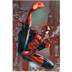 Poster REINDERS "Poster Spider-Man", rot (farbe bild(er): rot), B:61cm H:91,5cm, Papier, Bilder