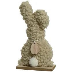 Hase