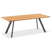 Niehoff Noah Gartentisch 160 x 95 x 76 cm Teak gebürstet/braun