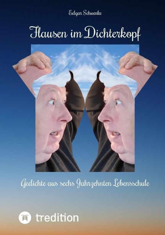 Flausen Im Dichterkopf - Gedichte Voller Sinn  Auch In Form Von Un-  Hinter- Und Tiefsinn - Edgar Schwenke  Kartoniert (TB)