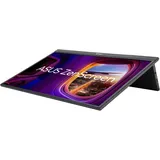 Asus ZenScreen MB17AHG, 17.3" (90LM08PG-B01170)