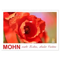 Calvendo Mohn, zarte Blüten, starke Farben (Wandkalender 2026 DIN