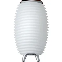 Kooduu Synergy 35 (10 h, Akkubetrieb), Bluetooth Lautsprecher, Weiss