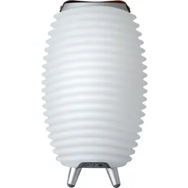 Kooduu Synergy 35 (10 h, Akkubetrieb), Bluetooth Lautsprecher, Weiss