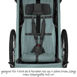 Qeridoo Qupa 1 Plus Kinderfahrradanhänger blau