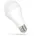 TOOLIGHT 1500 warmweiß