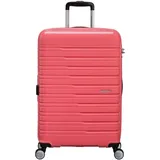 American Tourister Flashline Pop - Spinner M, Erweiterbar Koffer, 67 cm, 69/75 L, Rosa (Korallenrosa)