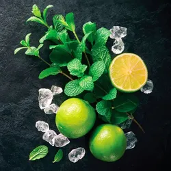 EUROART Glasbild 20 x cm Mojito III Glas Grün