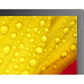 NEC MultiSync M501-2 50" schwarz