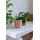 Cinas Tabletttisch Tray Table