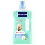 Meister Proper Allzweckreiniger Frühlingserwachen 1 l
