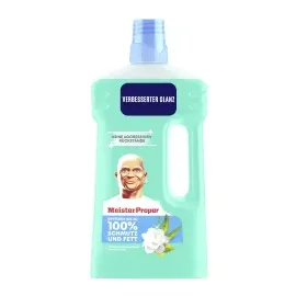 Meister Proper Allzweckreiniger Frühlingserwachen 1 l