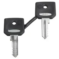 Schneider Electric ZBD8D1 Ersatzschlüssel f. Schlüsselschalter, 8D1, Verpackungseinheit: 2 Stck.