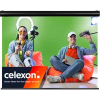 Celexon Motor Chroma Key Green Screen 400 x 300cm