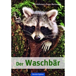 Der Waschbär