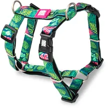 Max & Molly Urban Pets H-Geschirr Hund Tropical M