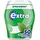 Extra® Spearmint Kaugummi 50 Dragees